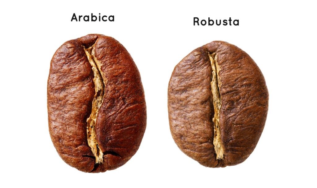 Kawa ziarnista na świecie istnieje w wielu różnych odmianach, ale dwie z nich - Arabika i Robusta - są najbardziej popularne i szeroko dostępne. 